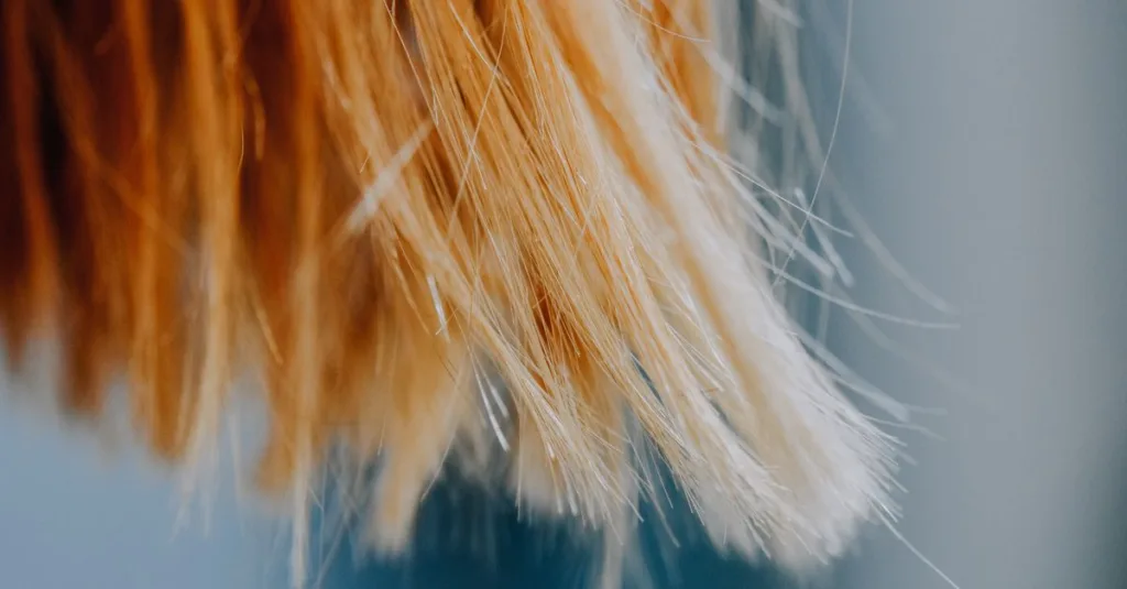réparez efficacement vos pointes fourchues grâce à nos conseils et traitements professionnels pour des cheveux sains et beaux.